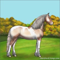 Horse Color:Silver Amber Champagne Onyx Tobiano Rabicano Brindle 