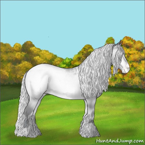 Horse Color:Silver Amber Champagne Chinchilla Onyx Appaloosa Rabicano 