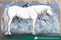 Horse Color:Liver Chestnut Mushroom Splash Appaloosa 