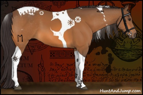 Horse Color:Buckskin Tobiano 