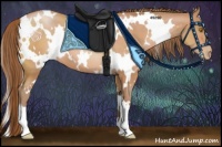 Horse Color:White Spotted Bay Pearl 