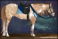 Horse Color:White Spotted Bay Pearl Rabicano 