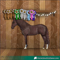 Horse Color:Chocolate Black 