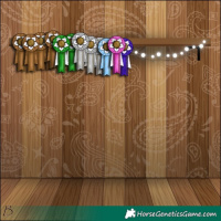 Horse Color:Chocolate Black 