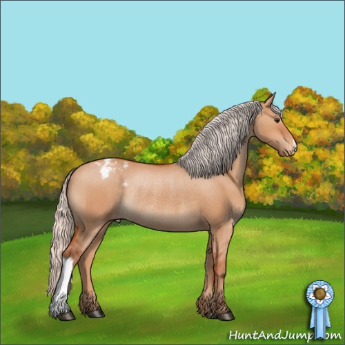 Horse Color:Silver Brown Dun Varnish Rabicano 