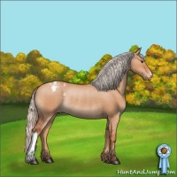 Horse Color:Silver Brown Dun Appaloosa Rabicano 