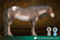 Horse Color:Liver Chestnut Appaloosa Rabicano 