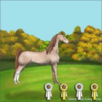 Horse Color:Gold Champagne Appaloosa