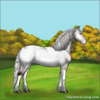 Horse Color:Chocolate Silver Brown Chinchilla Onyx Tobiano Appaloosa 