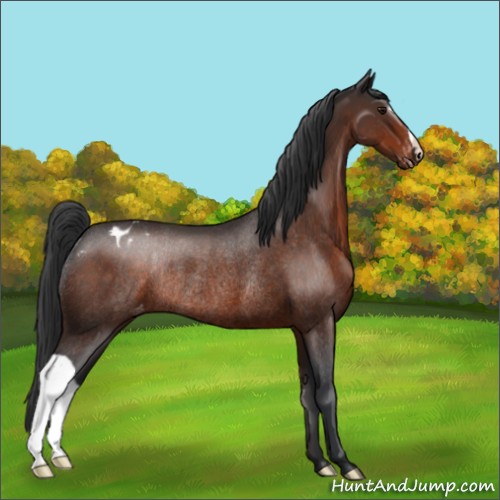 Horse Color:Brown Varnish Rabicano