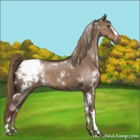 Horse Color:White Spotted Liver Red Dun Snowcap Rabicano