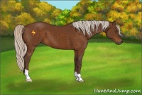 Horse Color:Silver Buckskin 