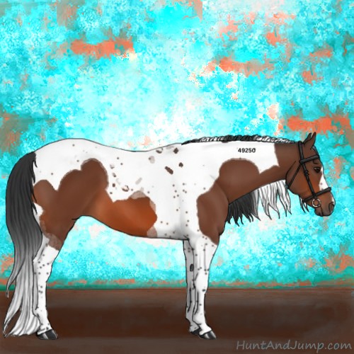Horse Color:Bay Tobiano 