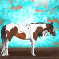 Horse Color:Bay Tobiano 