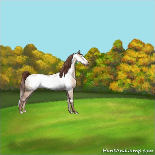 Horse Color:Amber Champagne Dun Frame Near Leopard