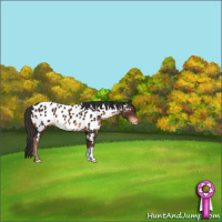 Horse Color:Liver Chestnut Near Leopard