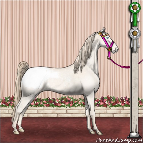 Horse Color:Perlino Appaloosa
