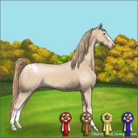 Horse Color:Perlino Snowcap 