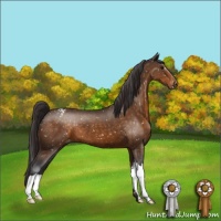Horse Color:Buckskin Snowcap 