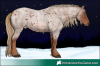 Horse Color:Red Roan 
