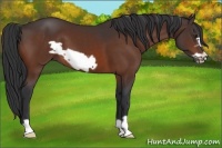 Horse Color:Brown Frame 