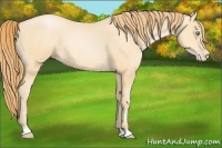 Horse Color:Smoky Black Pearl
