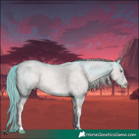 Horse Color:Platinum Chocolate Buckskin Pearl Sabino 