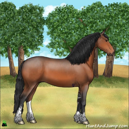 Horse Color:Brown Sabino 