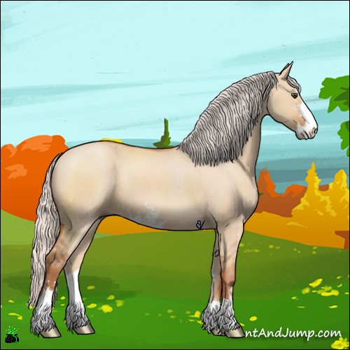 Horse Color:Silver Bay Dun Sabino