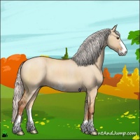 Horse Color:Silver Bay Dun Sabino
