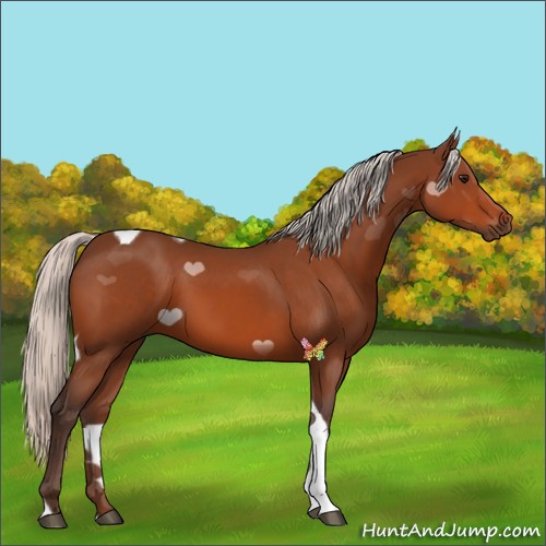 Horse Color:Silver Bay Tobiano