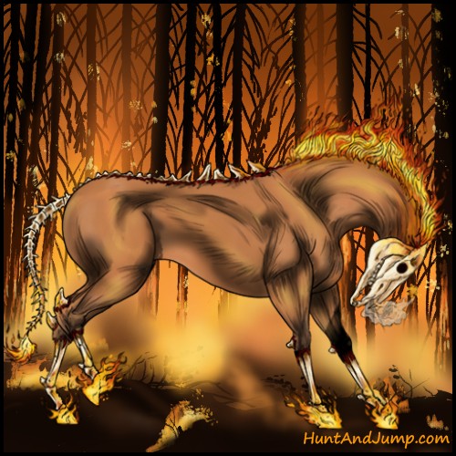 Horse Color:Void Silver Bay Splash 