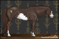 Horse Color:Liver Chestnut Frame Appaloosa