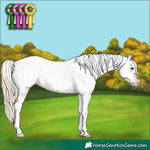 Horse Color:Chestnut Splash Snowflake Varnish