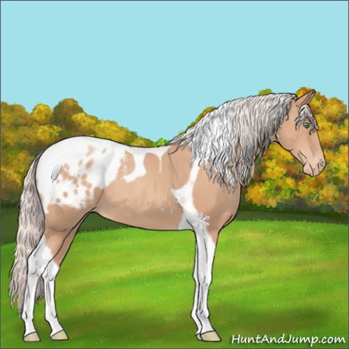 Horse Color:Silver Classic Champagne Tobiano Appaloosa 