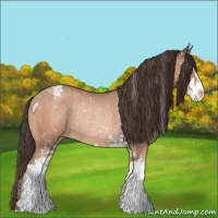 Horse Color:Sable Champagne Sabino Appaloosa Rabicano 