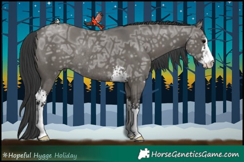 Horse Color:Grullo Ice Sabino Rabicano 