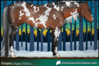 Horse Color:White Spotted Brown Rabicano 