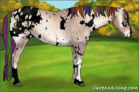 Horse Color:Void Painted White Spotted Liver Red Onyx Ice Pearl Sabino Varnish Rabicano 