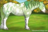 Horse Color:Chocolate Sable Champagne Pearl Dun Splash Appaloosa Rabicano 