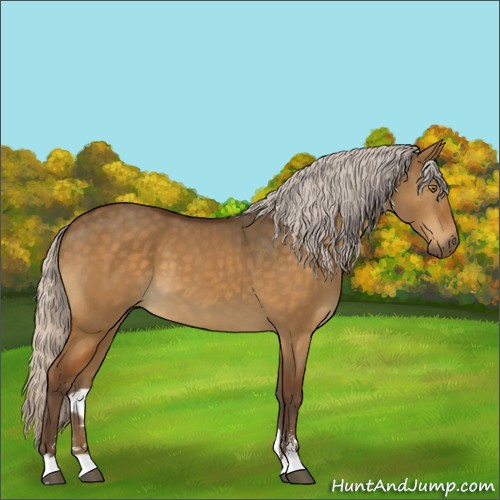 Horse Color:Silver Buckskin Dun Sabino 