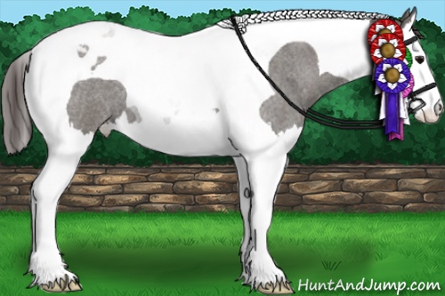 Horse Color:Grullo Roan Splash Tobiano Varnish 