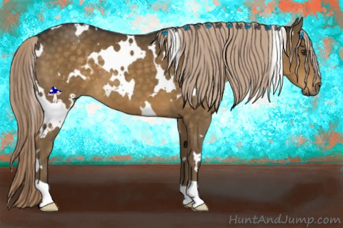 Horse Color:White Spotted Chocolate Palomino 