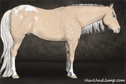 Horse Color:Chocolate Silver Perlino Snowflake Varnish 