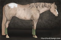 Horse Color:Liver Chestnut Ice Pearl Appaloosa Rabicano 