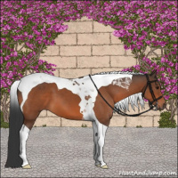 Horse Color:Bay Tobiano