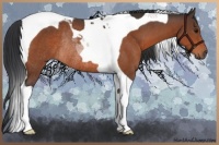 Horse Color:Bay Tobiano Rabicano 