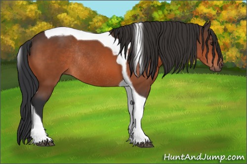 Horse Color:Brown Tobiano Rabicano 