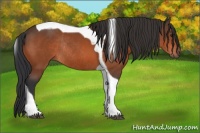 Horse Color:Brown Tobiano Rabicano