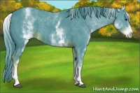 Horse Color:Watercolor White Spotted Liver Chestnut 